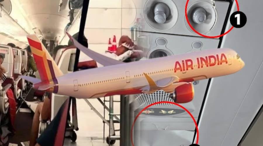 गांजा फूंककर प्लेन उड़ा रहे पायलट को Air India ने नौकरी से निकाला, रिपोर्ट में बड़ा खुलासा